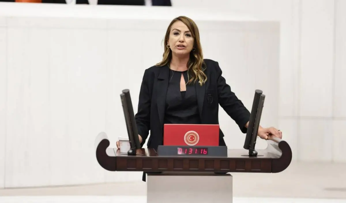 Afet yönetiminde ciddi sorunlar var