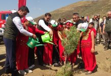 Yanan Orman Fidanlarla Yeşerdi