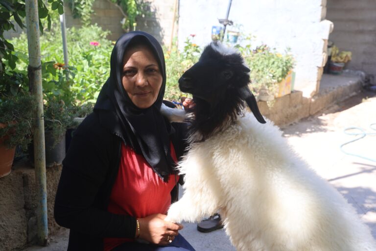 Evlat Acısını Kuzusuyla Paylaşıyor