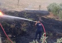 Kırıkhan’da Zeytinlik Alanı Yandı