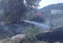 Hassa’da Yangın Meydana Geldi