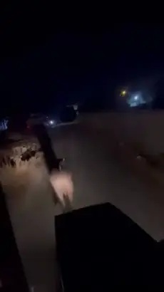 Sahibinin Elinden Kaçan Angusu Yakalandı
