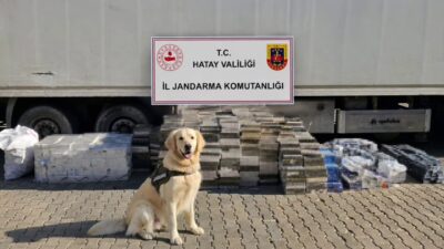 EŞYA TAŞINAN TIR DORSESİNDEN 3 BİN KARTON KAÇAK SİGARA ÇIKTI