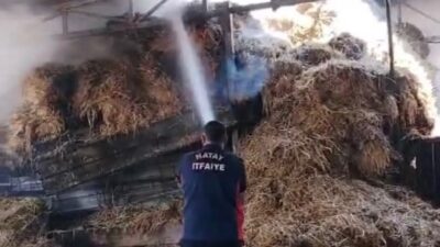 REYHANLI’DA SAMANLIK YANGINI