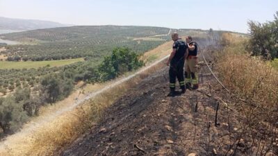 ALTINÖZÜ’DE ANIZ YANGINI