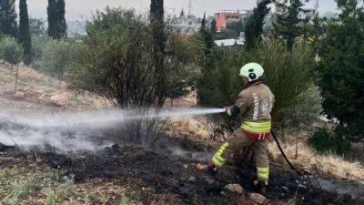 İSKENDERUN’DA OTLUK ALAN YANGINI