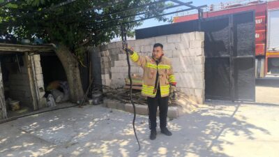 EVİN BAHÇESİNDE GÖRÜLEN 2 KARAYILAN PANİĞE NEDEN OLDU