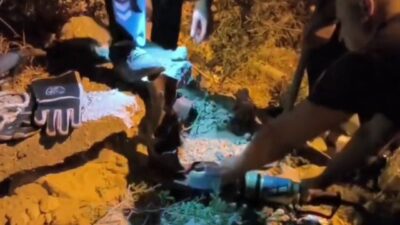 DEMİR BORUNUN İÇİNDE ÖLÜMÜ BEKLEYEN KİRPİ 1 SAATLİK OPERASYONLA KURTARILDI