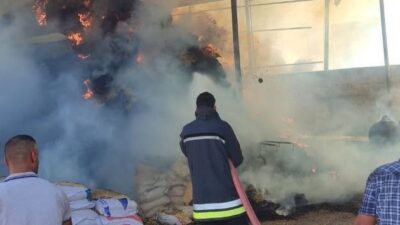 KUMLU’DA SAMANLIKTA ÇIKAN YANGINDA 3 BUZAĞI TELEF OLDU