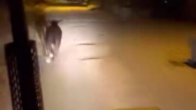 FİRARİ ANGUS MAHALLELİYE KORKU DOLU ANLAR YAŞATTI
