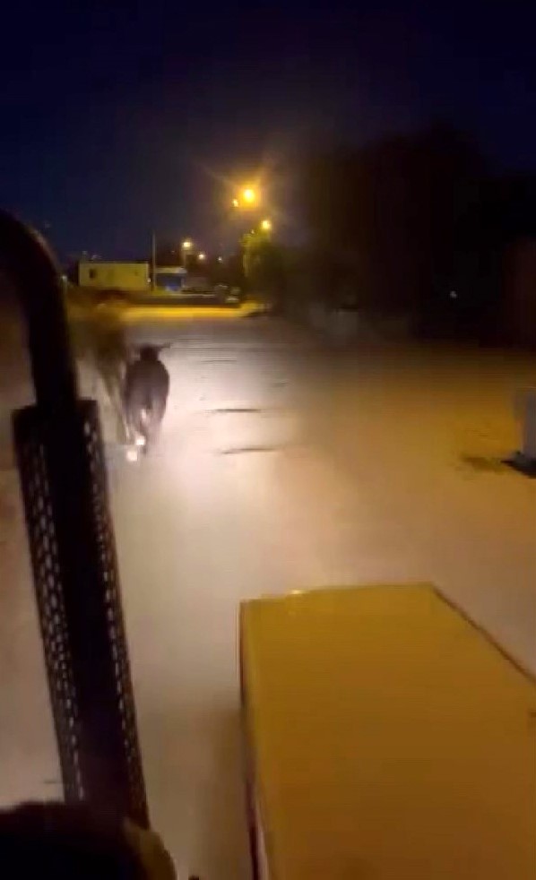Firari angus araçlara zarar verdi