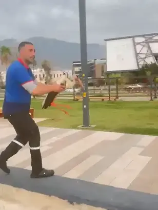 Denize düşen leyleği suya girerek kutradı
