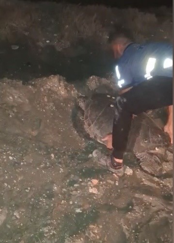  Carettayı kucağına alıp denize kavuşturdu