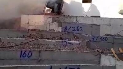 ALEVLERE TESLİM OLAN KEPÇEYE KUMLU MÜDAHALE