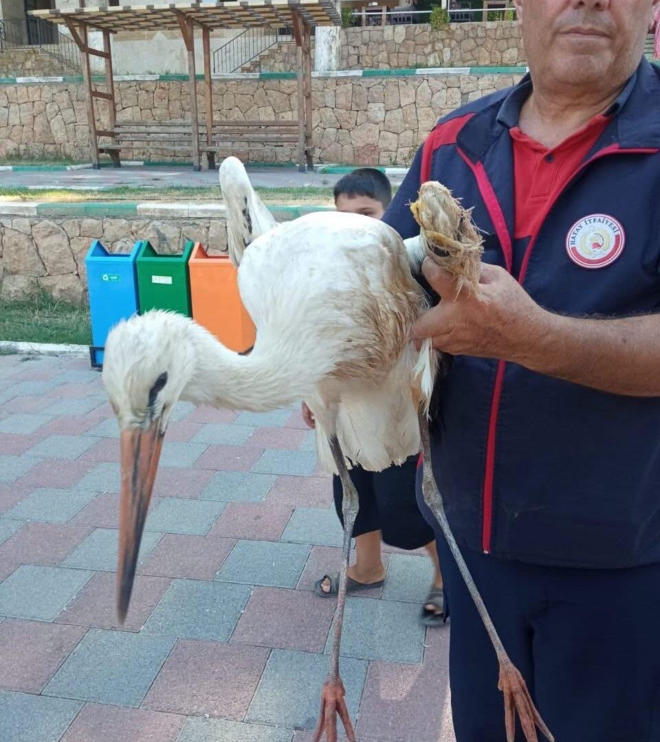  Yaralı leyleği  itfaiye kurtardı
