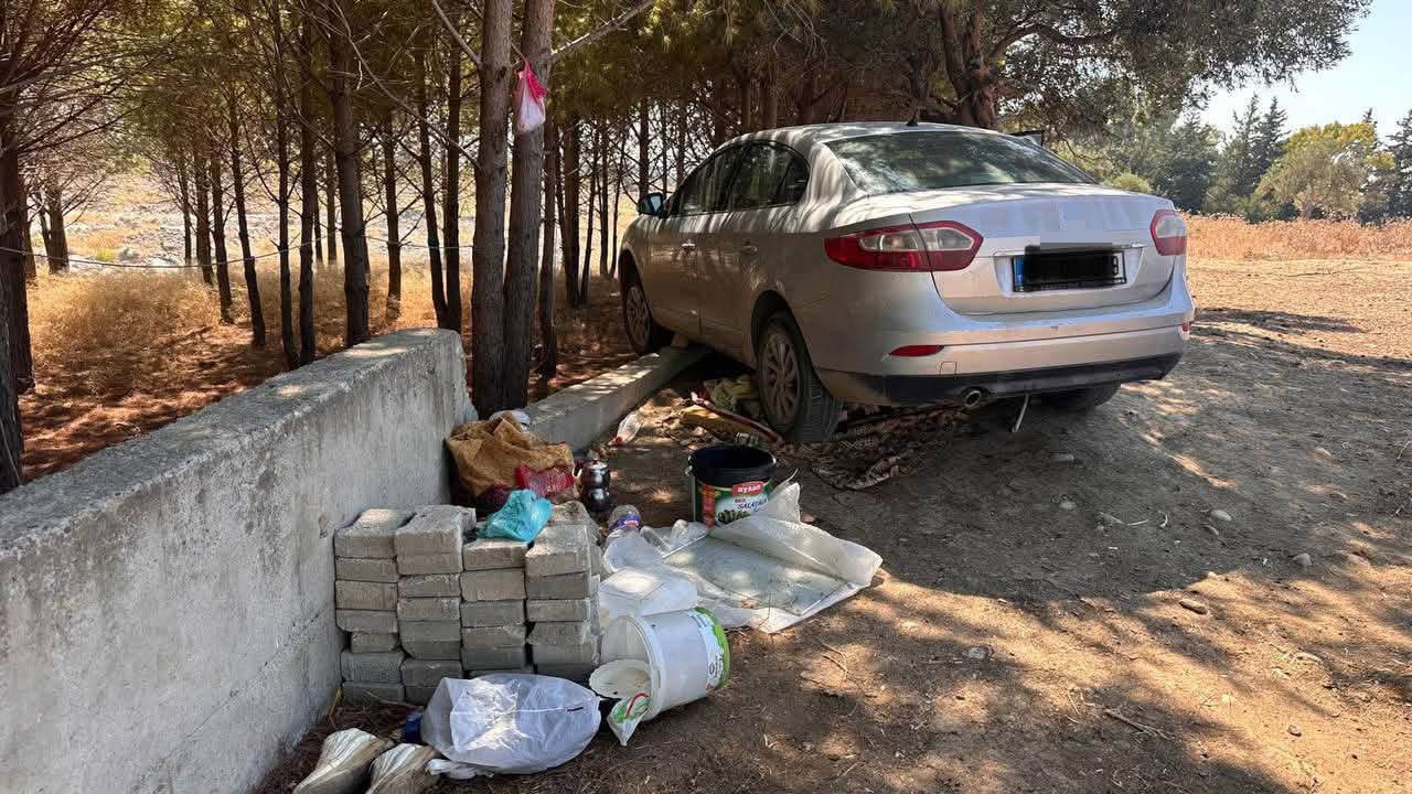 Ağaca çarpan otomobilin sürücüsü yaralandı