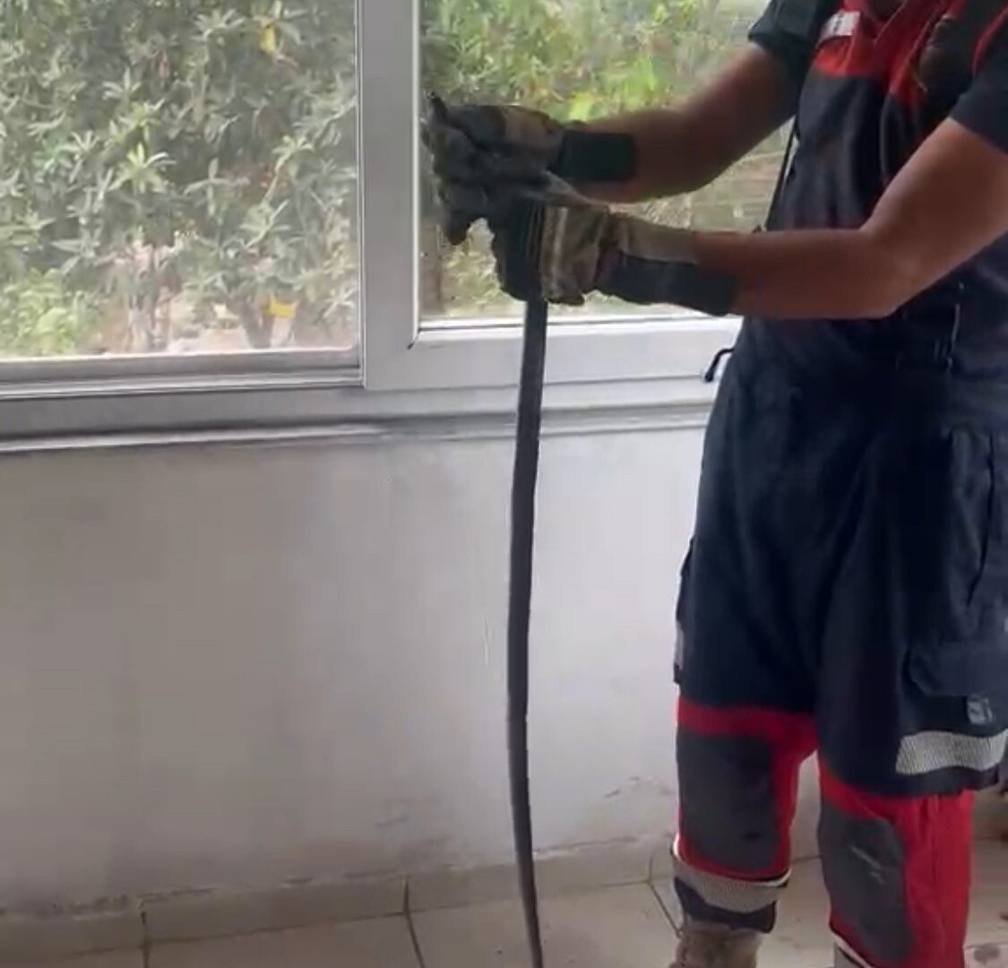 Eve giren yılan pencere arasına sıkıştı
