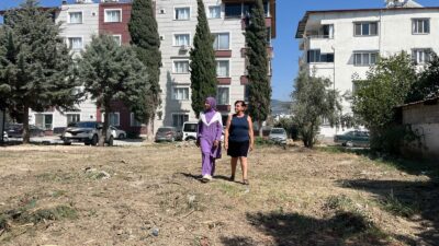 PARKTAKİ AĞAÇLARIN SÖKÜLMESİNE VATANDAŞLARDAN TEPKİ