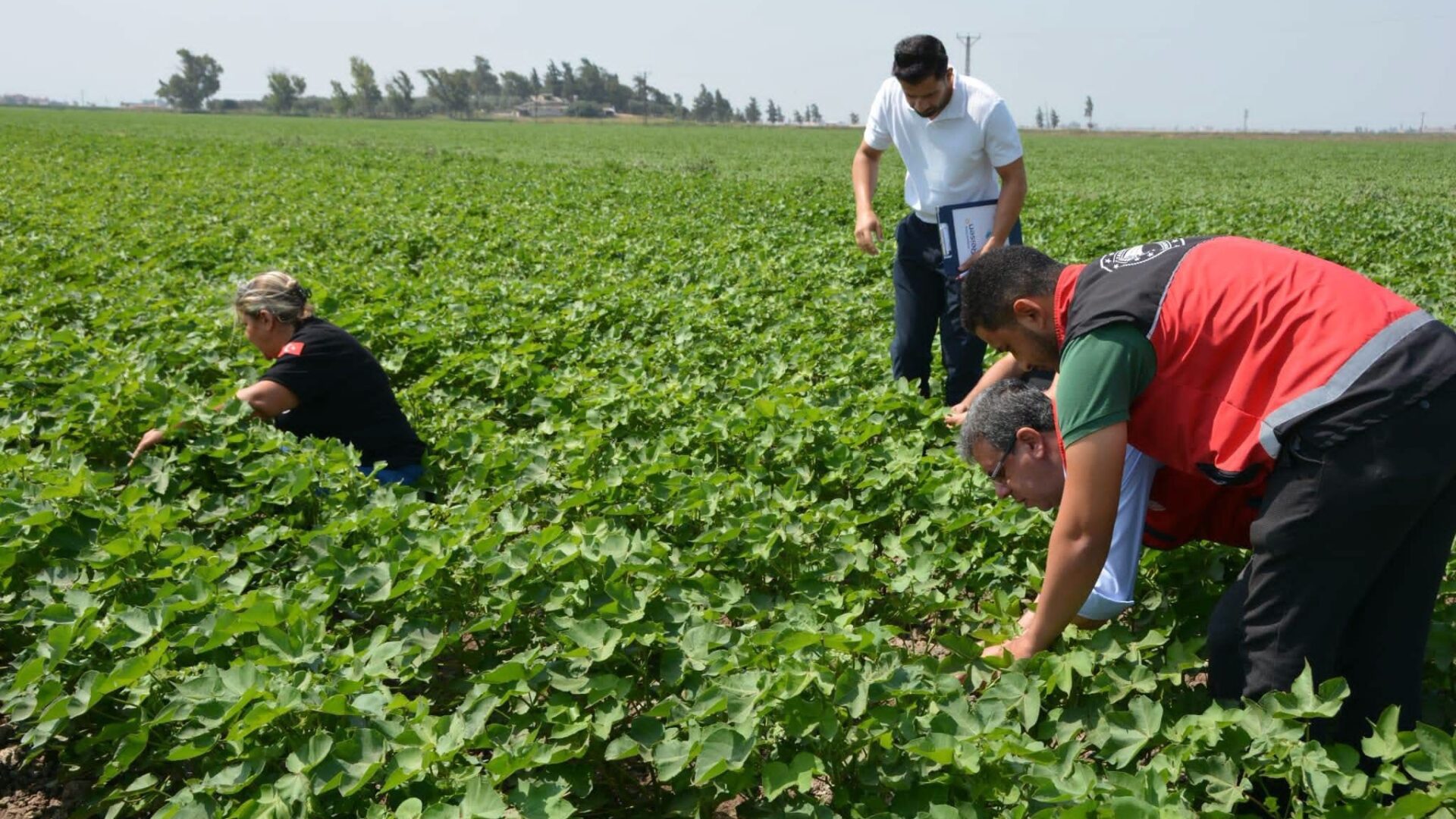 Tarımsal  üretim alanları kontrol edildi