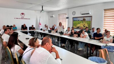 HATAY’DA TURUNÇGİLLERDE DOĞRU HASAT UYGULAMALARI ANLATILDI