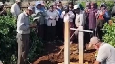 05411002-3042-4de1-8cd3-a3b63e62bab0-740×420-1