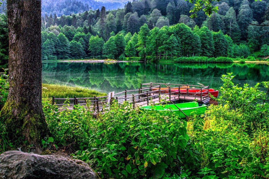 Rize’den Karadeniz’in Saklı Güzelliklerine Uzanan Keyifli Bir Gün