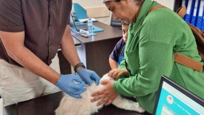 HATAY’DA KUDUZ AŞILAMA ÇALIŞMALARI SÜRÜYOR