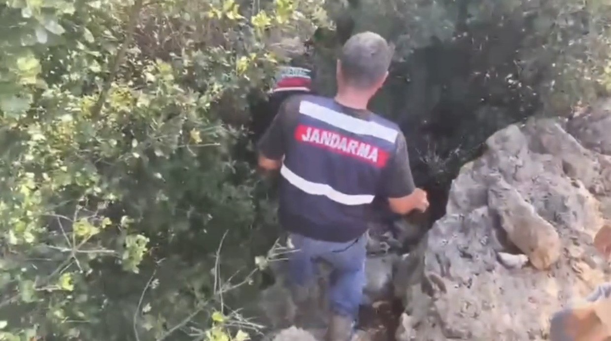 Jandarmadan uyuşturucu operasyonu