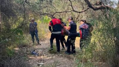 DEFNE’DE AĞAÇTAN DÜŞEN VATANDAŞ YARALANDI
