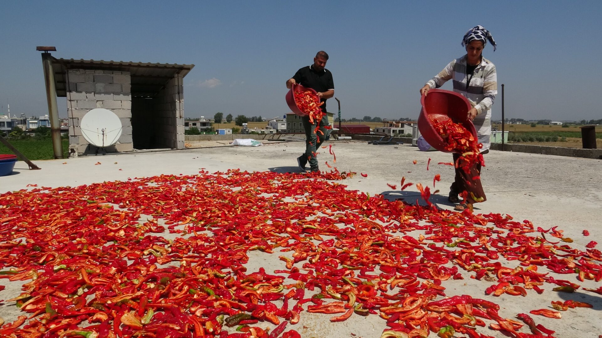 Hatay’da damlar kırmızıya büründü.
