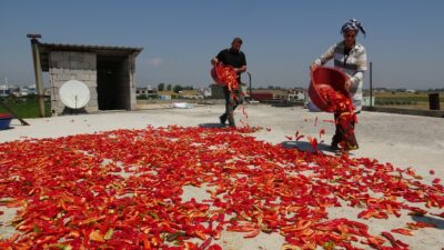 KAVURUCU SICAKTA DEVAM EDEN ACI MESAİYLE BİRLİKTE DAMLAR KIRMIZIYA BÜRÜNDÜ