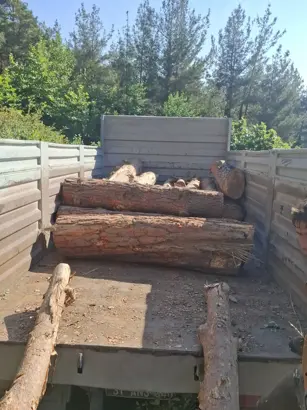 Ormanda kaçak kesim yapanlar yakalandı