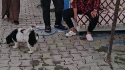 KONTEYNER KENTTE İMAM NİKAHLI KOCA DEHŞETİ: KARISI VE KIZIYLA BİRLİKTE TOPLAM 4 KİŞİYİ PALAYLA YARALADI