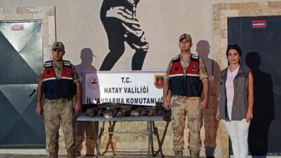 HATAY’DA 7 ARI ŞAHİNİ AVLAYAN ŞAHSA CEZA YAĞDI