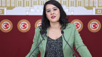 vekil karaca