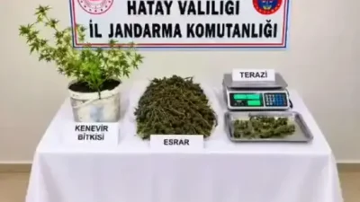 6acdeb59504079e1e13d3f9e