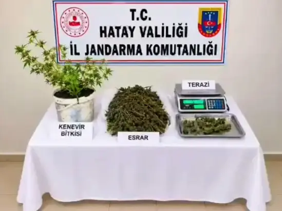 Uyuşturucu taciri tutuklandı