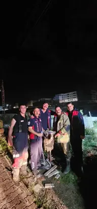  Asi Nehri’ne düşen koyunu itfaiye kurdardı