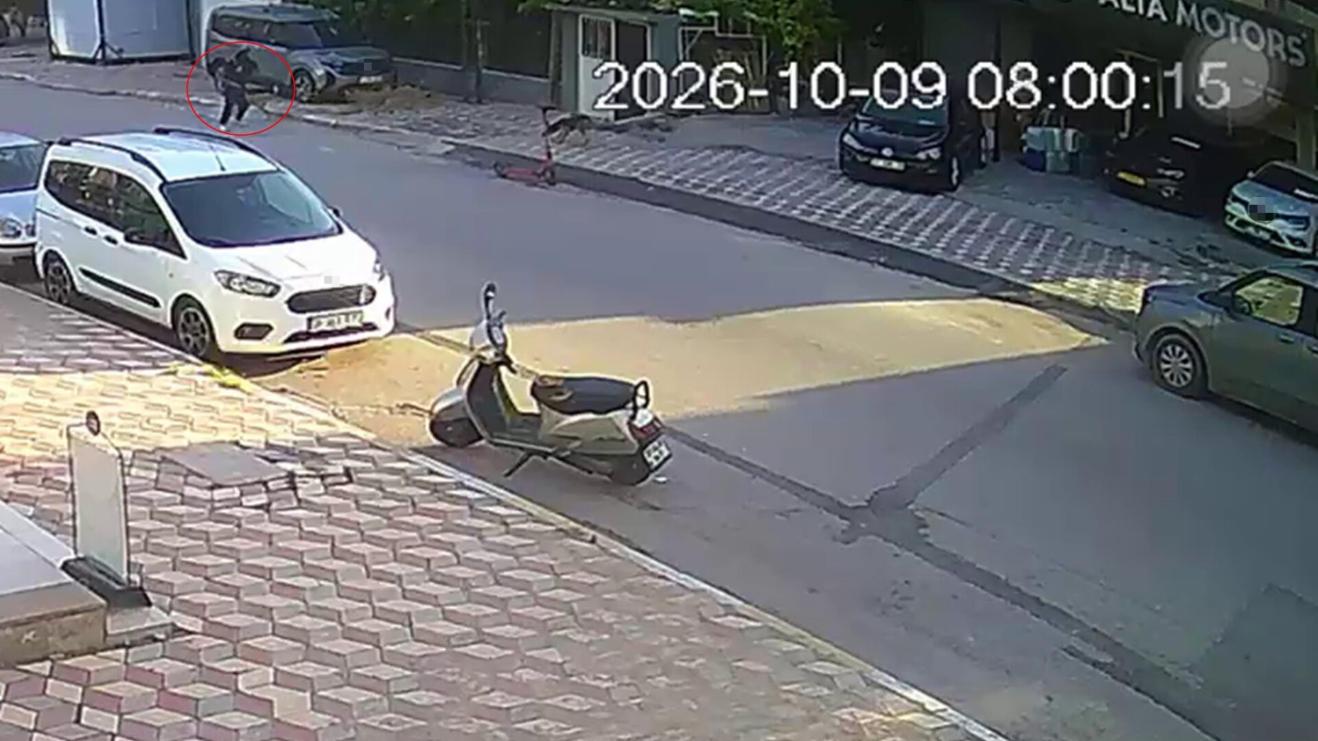 Kız Öğrenciye sokak köpekleri saldırdı