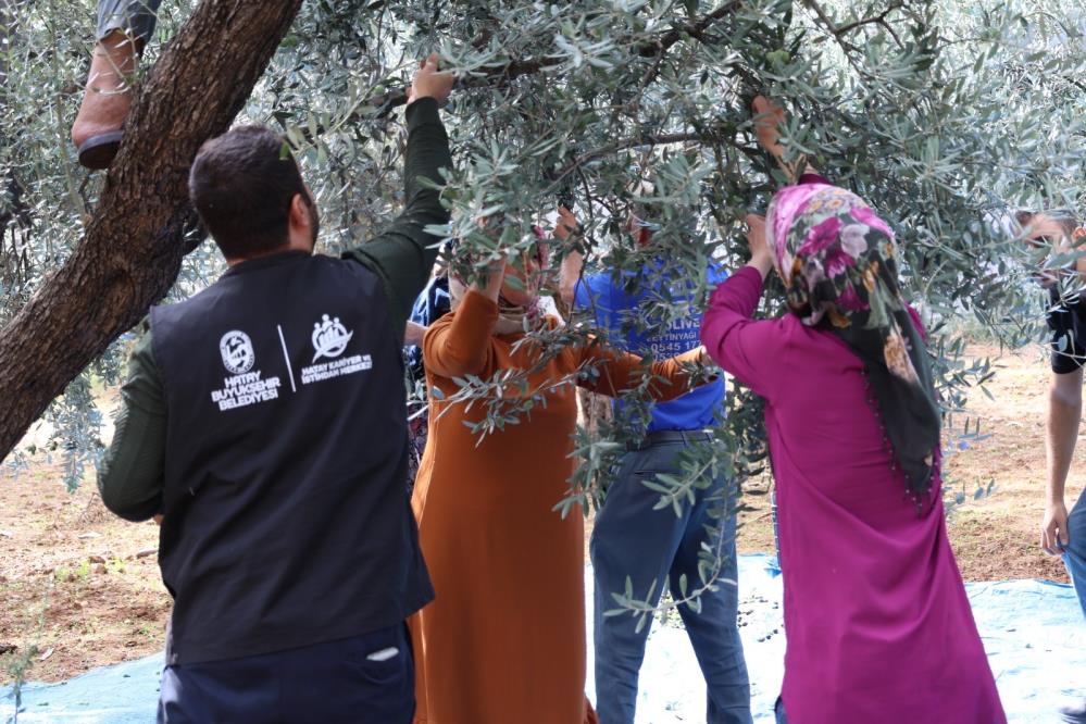 Zeytin üreticilerine  eğitim desteği