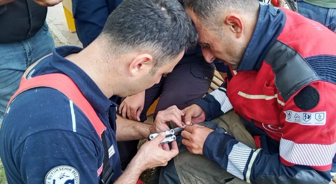 Mahsur kalan güvercini itfaiye  kurtardı