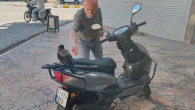 MAHALLELİNİN NEŞE KAYNAĞI OLDU, SIRRA KADEM BASMASIYLA ESNAF ‘KARGAMIZI İSTİYORUZ’ ÇAĞRISINDA BULUNDU