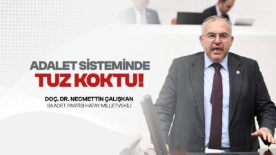 calışkan cezasızlık