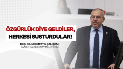 calışkan milli irade