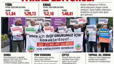 emekli sen tuik
