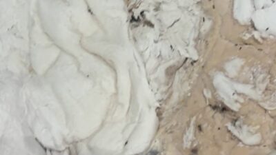 HAMAM BÖCEĞİ VE SİGARA İZMARİTİNDEN GEÇİLMEYEN FIRINDA MİDE BULANDIRAN GÖRÜNTÜLER