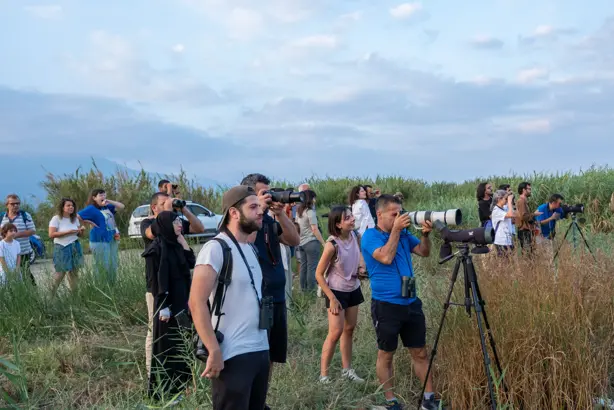 Milleyha için bütünleşik koruma önerisi