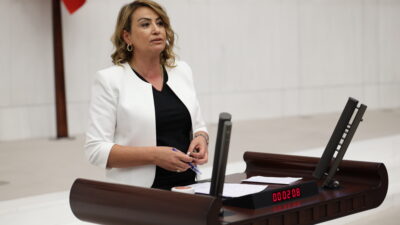 nermin fon krizi