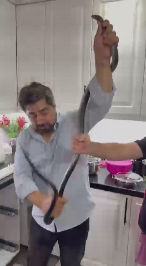 Yılancı Kemal 2 metrelik yılanı yakaladı